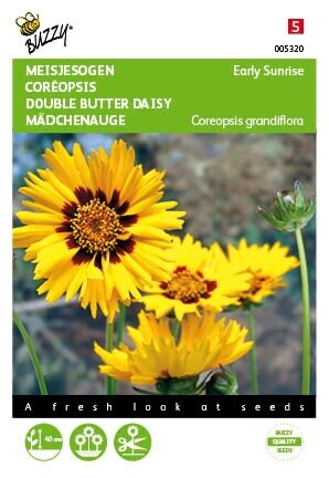 Buzzy® zaden - Coreopsis, Meisjesogen Early sunrise - afbeelding 1