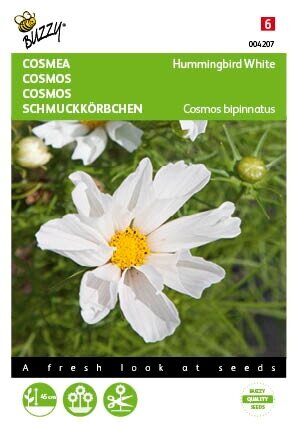 Buzzy® zaden - Cosmos, Cosmea Hummingbird White - afbeelding 1