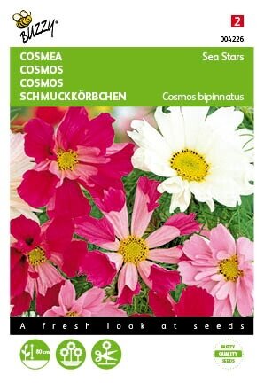Buzzy® zaden - Cosmos, Cosmea Sea Stars gemengd - afbeelding 2