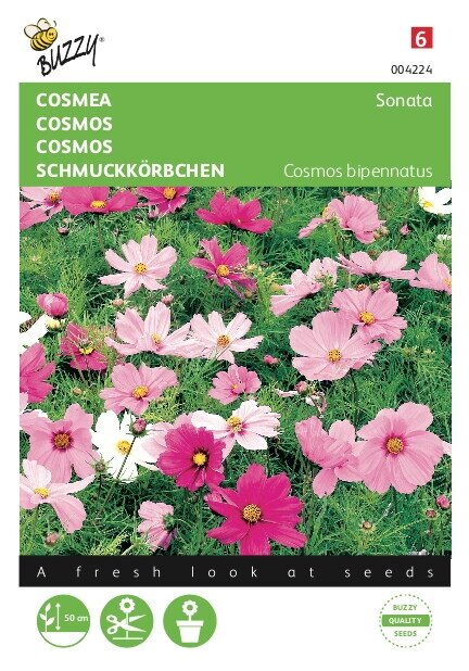 Buzzy® zaden - Cosmos, Cosmea Sonata gemengd - afbeelding 1