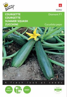 Buzzy® zaden - Courgette Diamant F1 - afbeelding 1