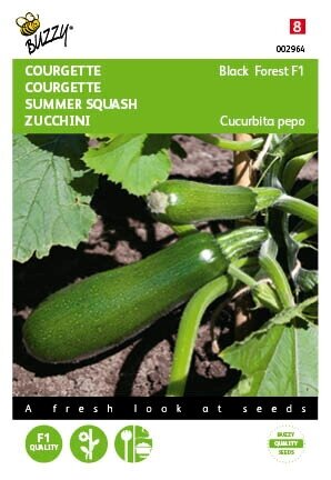 Buzzy® zaden - Courgette Klimmend Black Forest F1 - afbeelding 1