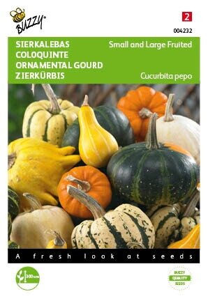 Buzzy® zaden - Cucurbita, Sierkalebas klein- en groot gemengd - afbeelding 1