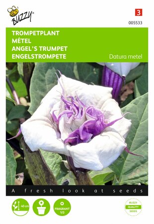 Buzzy® zaden - Datura, Trompetplant - afbeelding 1