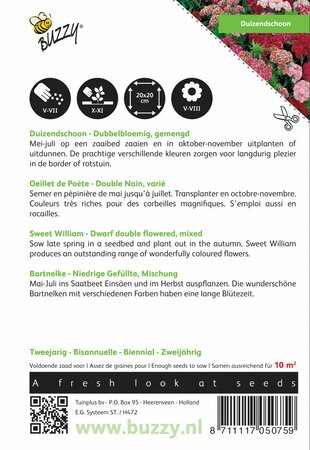 Buzzy® zaden - Dianthus, Duizendschoon dubbelbloemig gemengd - afbeelding 2