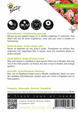 Buzzy® zaden - Dianthus, Duizendschoon enkelbloemig gemengd - afbeelding 2