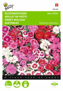 Buzzy® zaden - Dianthus, Duizendschoon Wee Willie gemengd - afbeelding 1