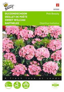 Buzzy® zaden - Dianthus, Duizenschoon Pink Beauty - afbeelding 2
