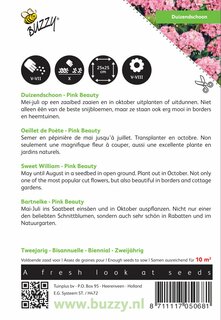 Buzzy® zaden - Dianthus, Duizenschoon Pink Beauty - afbeelding 2