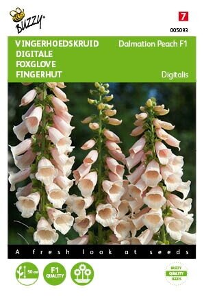 Buzzy® zaden - Digitalis, Vingerhoedskruid Dalmation F1 Peach - afbeelding 2