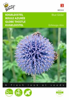 Buzzy® zaden - Echinops, Kogeldistel Blue Globe - afbeelding 1