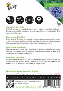 Buzzy® zaden - Echinops, Kogeldistel Blue Globe - afbeelding 2