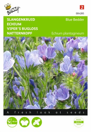 Buzzy® zaden - Echium, Slangenkruid Blue Bedder - afbeelding 1