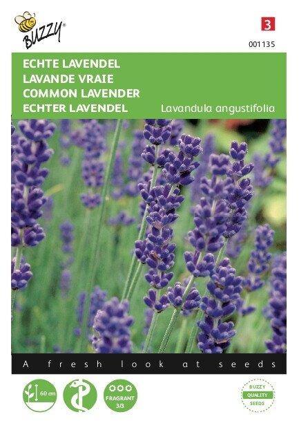 Buzzy® zaden - Echte Lavendel - afbeelding 1