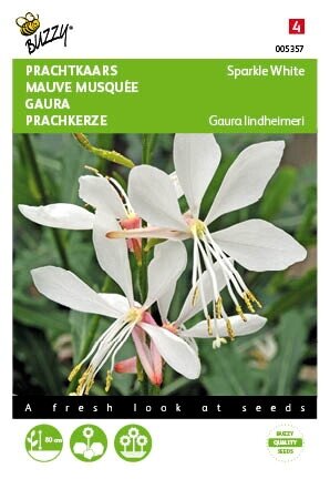 Buzzy® zaden - Gaura lindheimeri, Prachtkaars Sparkle White - afbeelding 1