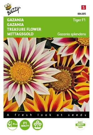 Buzzy® zaden - Gazania New Tiger F1 gemengd - afbeelding 1