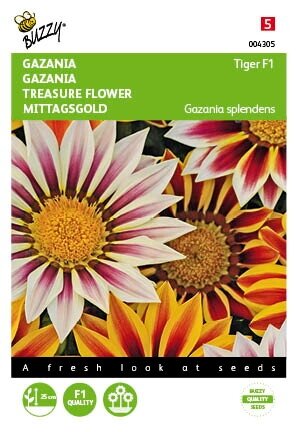 Buzzy® zaden - Gazania New Tiger F1 gemengd - afbeelding 2