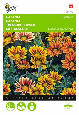 Buzzy® zaden - Gazania Sunshine gemengd - afbeelding 1