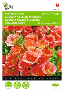 Buzzy® zaden - Godetia, Zomer Azalea Salmon Princess - afbeelding 1