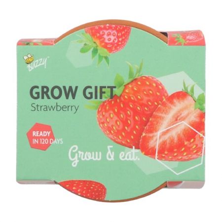 Buzzy® zaden - Grow Gifts Aardbei - afbeelding 2
