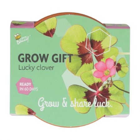 Buzzy® zaden - Grow Gifts Klavertje 4 - afbeelding 2
