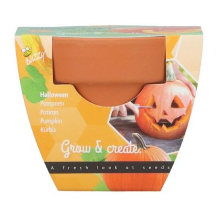 Buzzy® zaden - Grow Gifts Pompoen - afbeelding 2