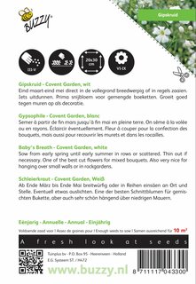 Buzzy® zaden - Gypsophila, Gipskruid Covent Garden - afbeelding 2