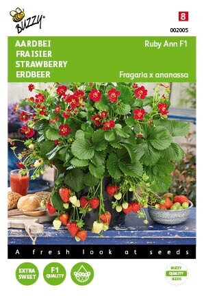 Buzzy® zaden - Hangaardbei Ruby Ann F1 roodbloeiend - afbeelding 1