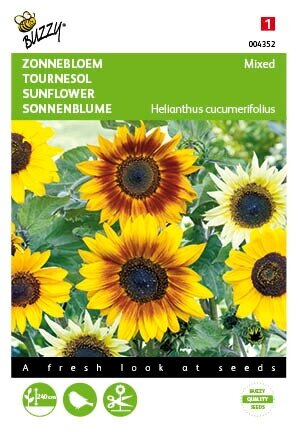 Buzzy® zaden - Helianthus, Zonnebloem gemengd - afbeelding 1