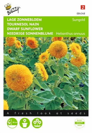 Buzzy® zaden - Helianthus, Zonnebloem Sungold dubbelbloemig laag - afbeelding 1