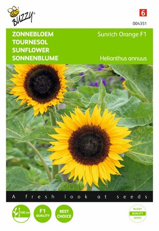 Buzzy® zaden - Helianthus, Zonnebloem Sunrich Orange F1 - afbeelding 1