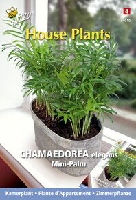 Buzzy® zaden - House Plants Chamaedorea, Minipalm - afbeelding 1