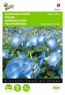 Buzzy® zaden - Ipomoea, Klimmende winde Clark’s Blue - afbeelding 1