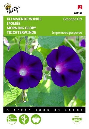 Buzzy® zaden - Ipomoea, Klimmende winde Grandpa Ott - afbeelding 1