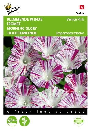 Buzzy® zaden - Ipomoea, Klimmende winde Venice Pink - afbeelding 1