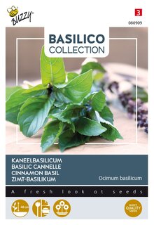 Buzzy® zaden - Kaneelbasilicum - afbeelding 3