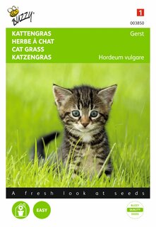 Buzzy® zaden - Kattengras Gerst - afbeelding 1