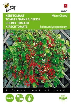 Buzzy® zaden - Kerstomaat Micro Cherry - afbeelding 1