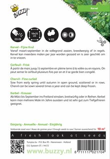 Buzzy® zaden - Kervel Fijne Krul - afbeelding 2