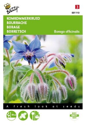 Buzzy® zaden - Komkommerkruid (Borage) - afbeelding 1