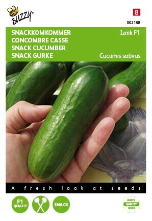 Buzzy® zaden - Komkommers Snack Iznik F1 - afbeelding 1