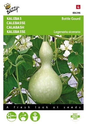 Buzzy® zaden - Laganeria, Sierkalebas Giant Bottle - afbeelding 2