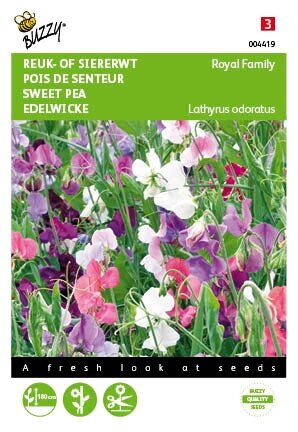 Buzzy® zaden - Lathyrus, Reuk- of siererwt Royal Family gemengd - afbeelding 1