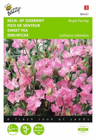 Buzzy® zaden - Lathyrus, Reuk- of siererwt Royal Family roze - afbeelding 1
