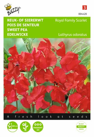 Buzzy® zaden - Lathyrus, Reuk- of siererwt Royal Family Scarlet - afbeelding 1