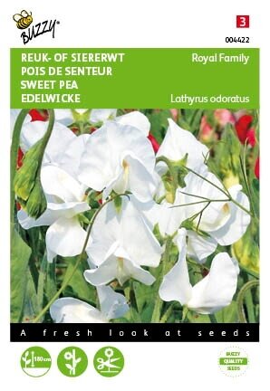 Buzzy® zaden - Lathyrus, Reuk- of siererwt Royal Family Wit - afbeelding 1