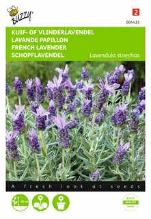 Buzzy® zaden - Lavandula, Kuif- of Vlinderlavendel - afbeelding 1