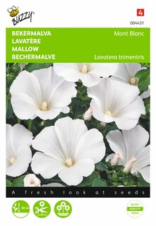 Buzzy® zaden - Lavatera, Bekermalva Mont Blanc - afbeelding 2