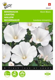 Buzzy® zaden - Lavatera, Bekermalva Mont Blanc - afbeelding 1