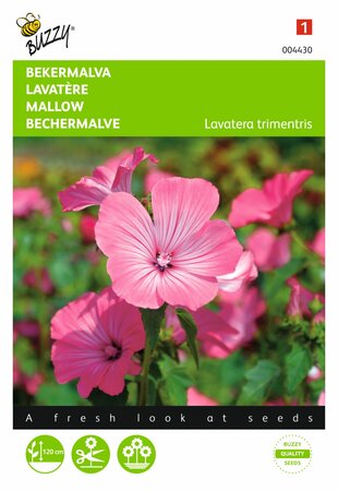 Buzzy® zaden - Lavatera, Bekermalva Roze/Rood - afbeelding 1